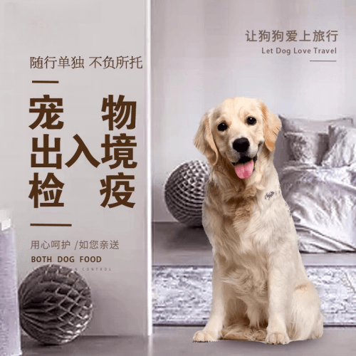 儋州市宠物托运到哥伦比亚猫狗宠物入境规定和