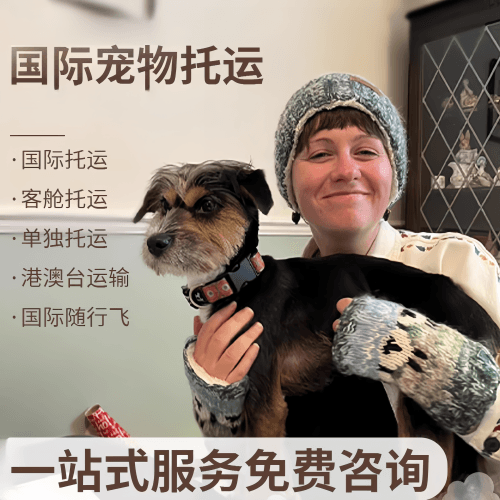 儋州市国际宠物托运到阿根廷宠物入境规定和要