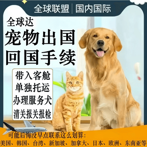 儋州市宠物托运到柬埔寨宠物入境规定和要求