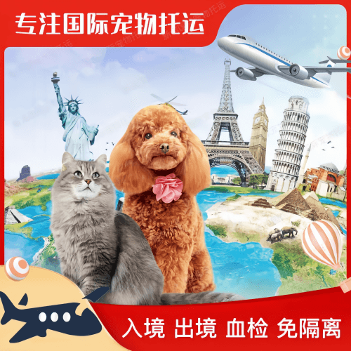 儋州市宠物托运到美国宠物入境最新规定和要求