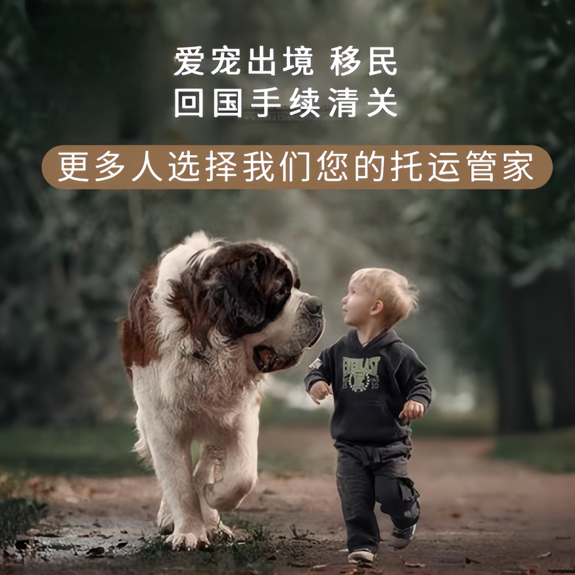 满财儋州市宠物全球达宠物托运在遵守入境目的地政策的条件